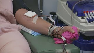 The unexpected benefits of donating blood or platelets