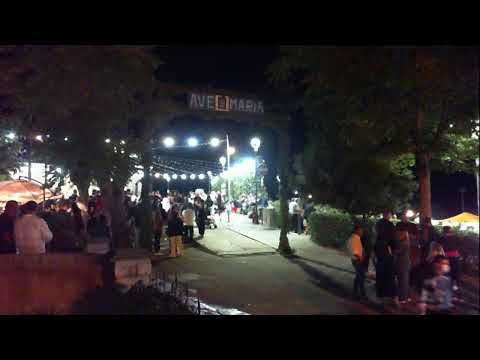 processione 2021 seunis