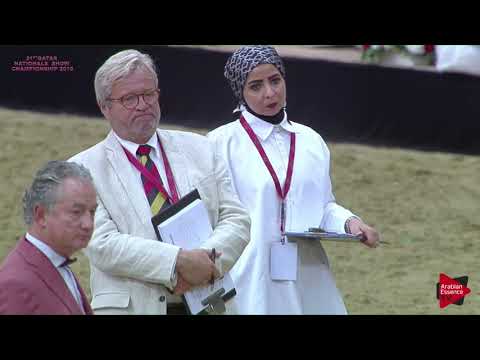 N 71 ANOUD AL MARROONA   21st Qatar National 2018   Yearling Fillies Class 3A