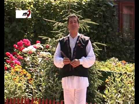 Gelu  Voicu  -  Pusei  caii  la  caruta