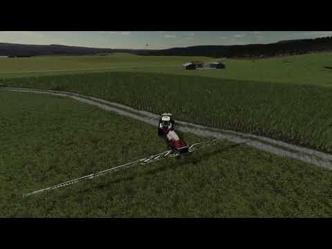 Pflanzenschutz im Mais 2021