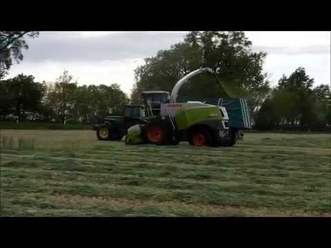 Claas Jaguar 950 DYNAMIC POWER im Grünroggen 2015