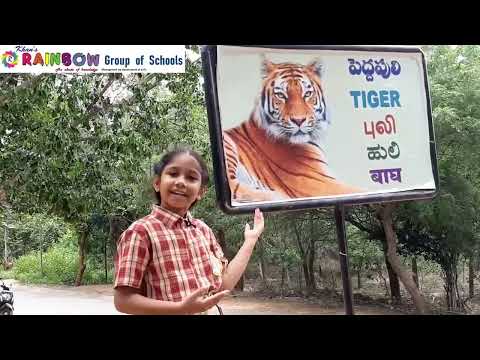 International Tiger's Day (2024) - By Nasreen