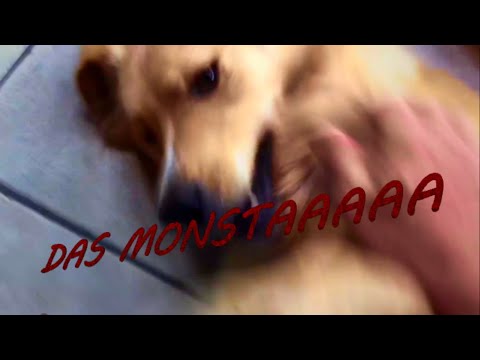 Survival Guide #002 [DAS MONSTAAAAA] | BadHead Studios