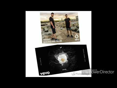 Firebeatz,Avicii ft.Sandro Cavazza  Remember Who you are VS Without You (ZZJ Mashup)