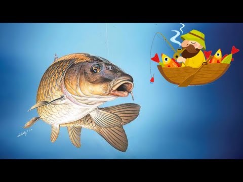 Веселые рыбаки (fun-fishermen.org) отзывы 2019, обзор, mmgp, обновления, получил выплату 32,55 руб