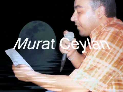 Mc Hakikat & Murat Ceylan (Boşver Gitsin Gardaşım) 2012