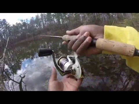 Bass Fishing For Big PreSpawn Bass !!