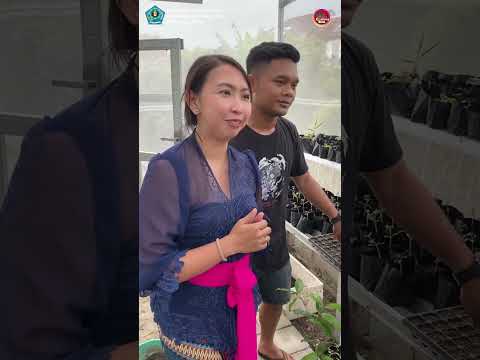 Bung Ata : KWT Jelita Kelurahan Ubung