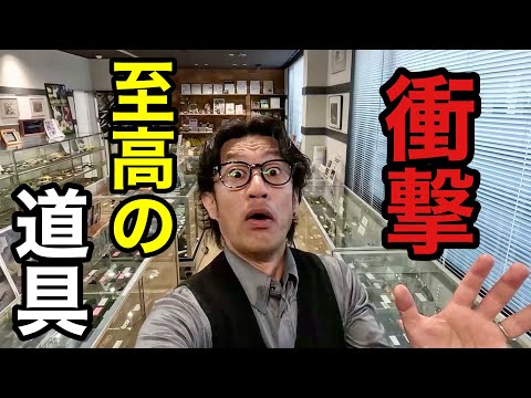 園芸 ジャイアントソードファーン