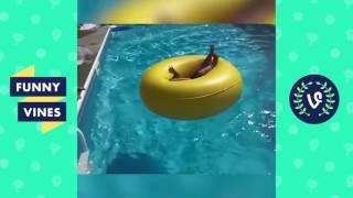 Download lagu Top WATER SLIDE Fails Compilation | Funny Vines mp3