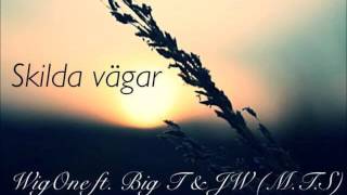 WigOne ft. JW & Big T - Skilda vägar (Petter - Natt & Dag remix)