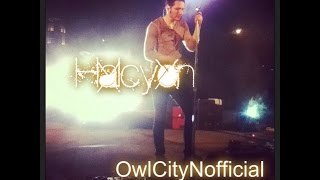 Owl City - Halcyon (soundcloud)