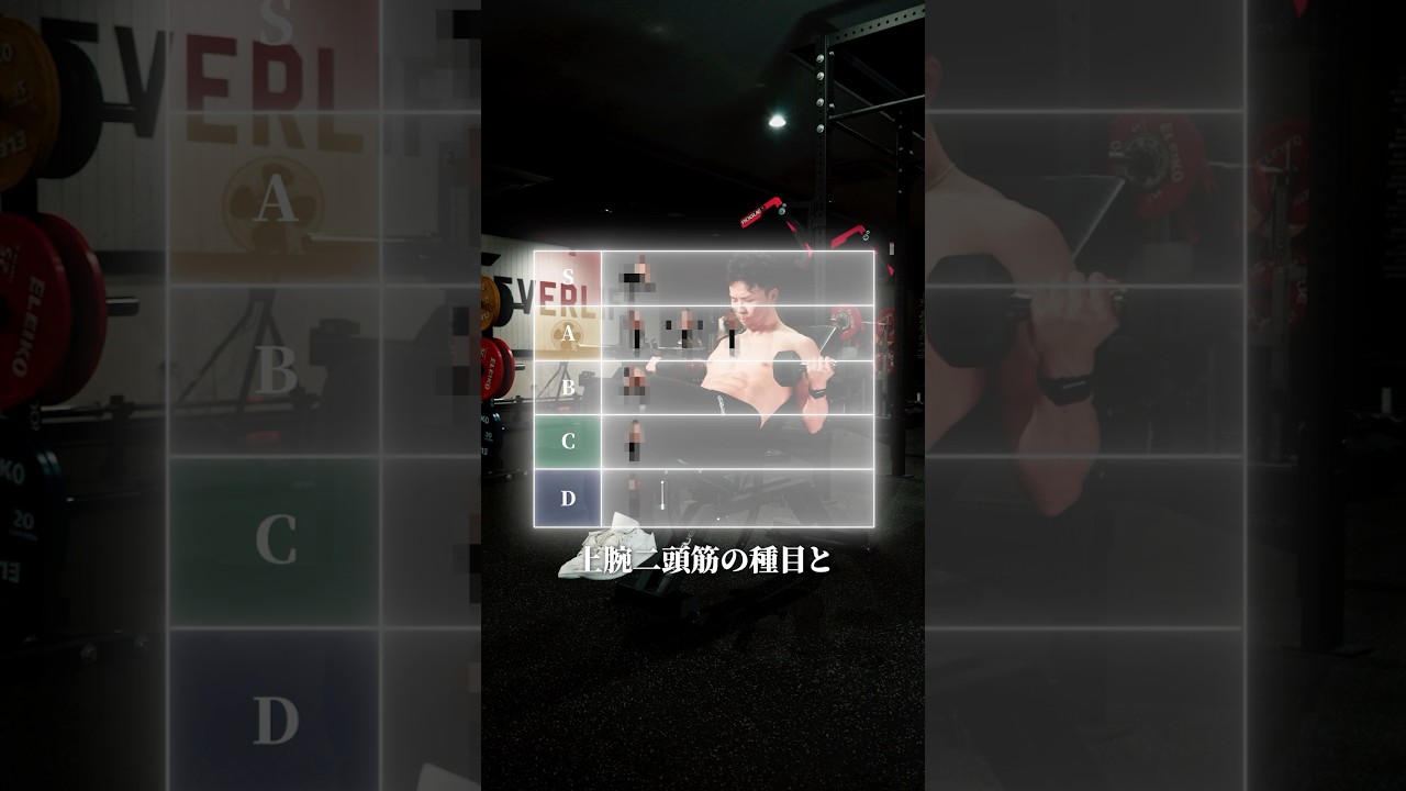 もっと優れている上腕二頭筋の種目とそうでない種目をティアリストで紹介 #フィットネス #筋トレ