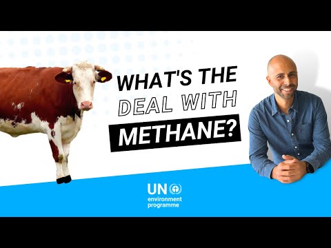 What's the deal with methane?