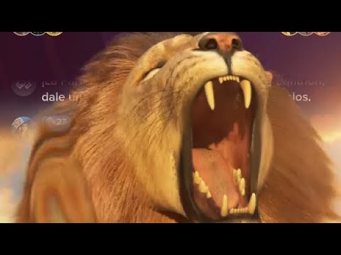 estos paisas se dieron duro en esta batalla en #tiktok #facebook #live