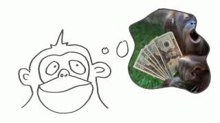 The Unwise Monkey learns what hepatitis A is