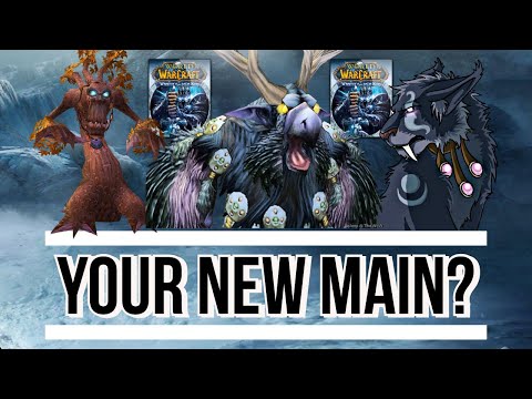 Should you main a Druid in WOTLK Classic?