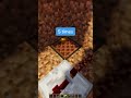 Minecraft REALISTIC Doorbell Tutorial
