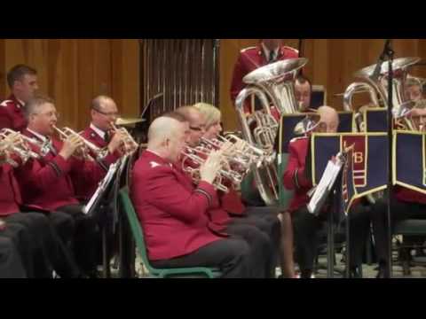 "Mission Force" by Steve Bulla