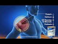 Ensure Complete Balanced Nutrition