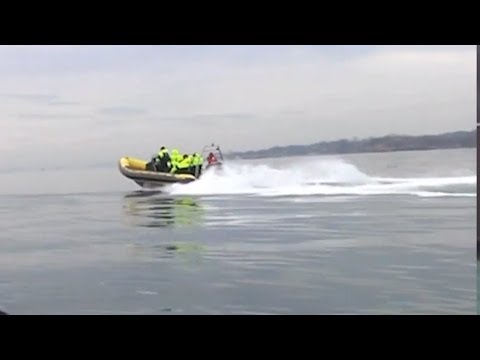 Mit Speedbooten Wasserwelt von Oslo erleben! Norwegens Hauptstadt mal anders