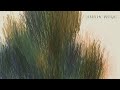Shannon Wright - The Thirst (official audio)