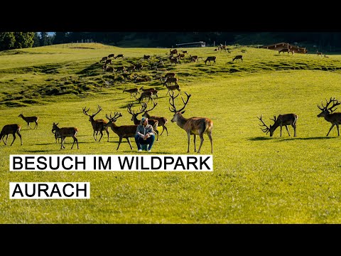 HANSI HINTERSEER I Besuch im Wildpark Aurach