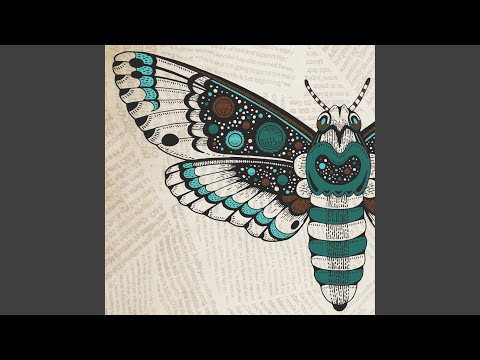Suley Fm - Leading The Blind - Misc Originals