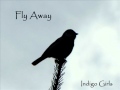 Fly Away by Indigo Girls