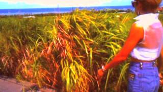 BENI Red Stories Part.3 "Home Sweet Home"