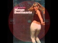 Mongo Santamaria - Summertime (Latin).wmv