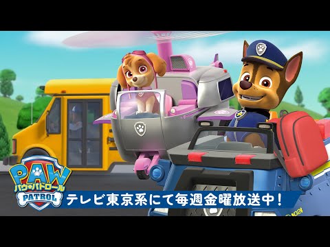 パウ・パトロール | パウ・パトロールの学校レスキュー！🚌🎒スカイとチェイスと一緒｜30分 | テレビ東京系にて放送中