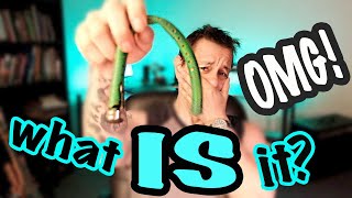 Video thumbnail for Dampit Guitar Humidifier: Repair by One Guitarist