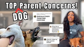 Frustrated with Your Dog? ESA, Raw Diet, and Barking Fixes!