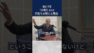 補正予算「30兆円」あれば、手取りが増える理由#藤井聡 #表現者クライテリオン #高市早苗 #高市政権#自民党
