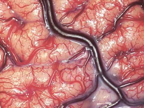 Jelle Boon - Salt and Pepper (Original Mix)