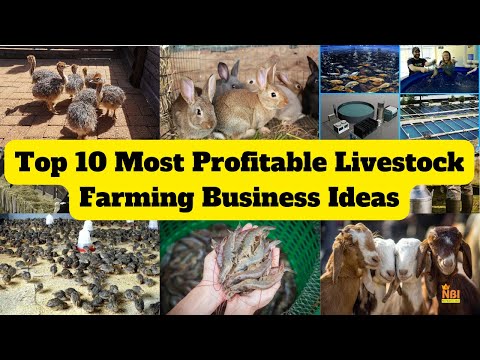 , title : 'Top 10 Most Profitable Livestock Farming Business Ideas || Animal Farming Business Ideas'