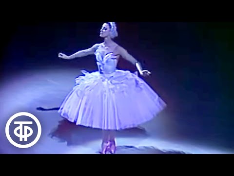 "Лебедь". Камиль Сен-Санс. Танцует Майя Плисецкая (1976)