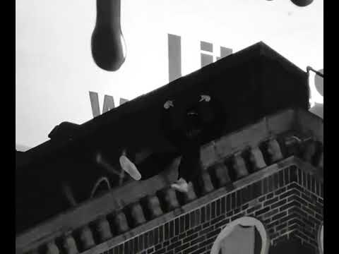 Resentvul - REDDOT (Official Audio) 