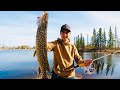 Video Thumbnail for River fishing adventure (pre spawning pike)
