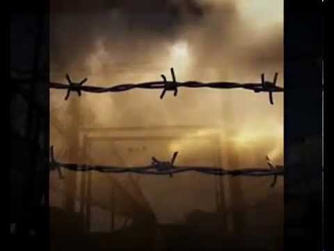 Zarina Agla gozel agla ne menasi var & Доля Воровская BY M*M