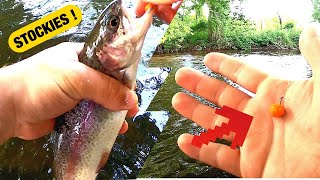 Catching STOCKED Rainbow Trout On SALMON EGGS !