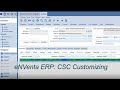 ENVenta ERP CSC Clientside Customizing