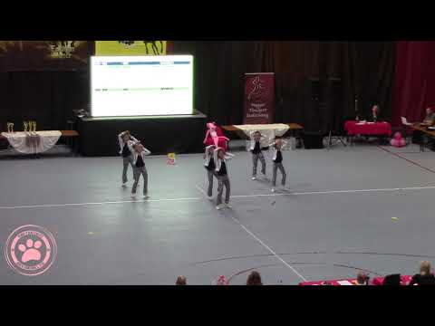 Pink Panthers TSE - Géppuskalábúak