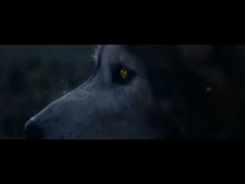 Stereohats, Folded Dragons & Amanda Yang - Army (Replacement video)