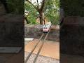 Watch The Train Train