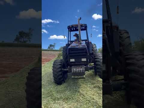 25 de janeiro de 2026