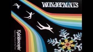 Wondermints - Playtex Aviary (revisited)