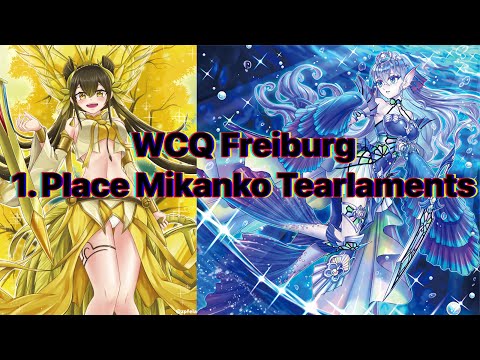 WCQ: Regional Freiburg 1. Place Mikanko Tearlaments Richard S. inspired by @jessekottonygo